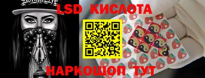 прущие грибы Заводоуковск