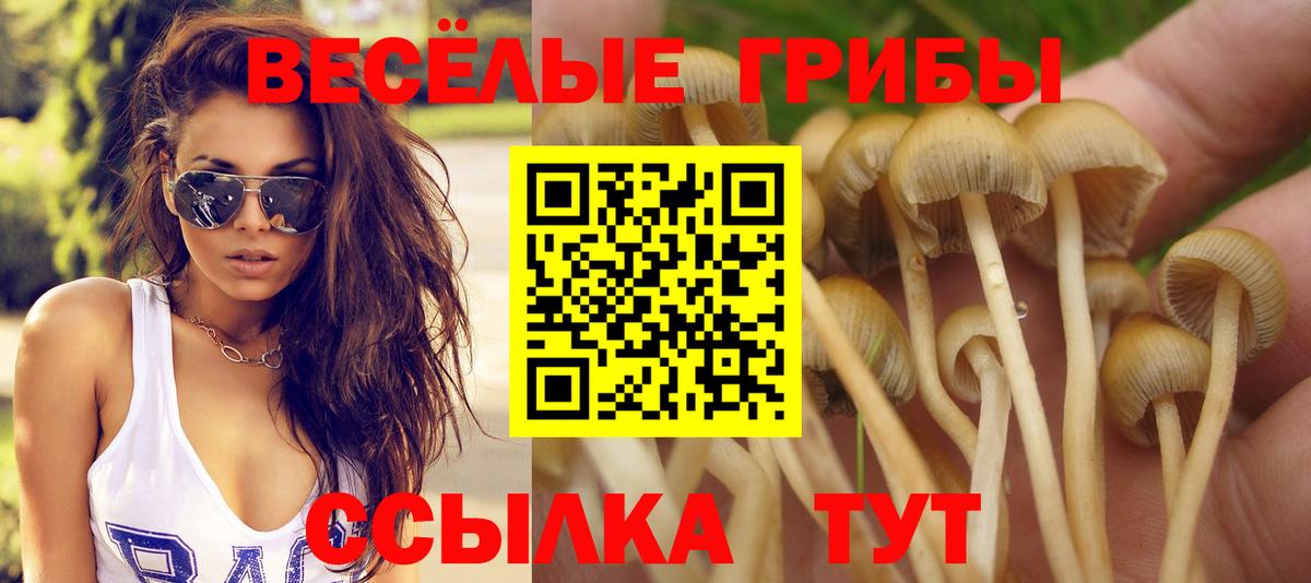 Псилоцибиновые грибы прущие грибы  Вход с VPN  Магнитогорск 