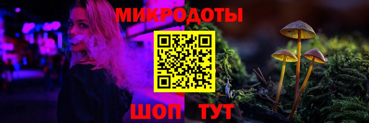Галлюциногенные грибы Psilocybine cubensis Магнитогорск
